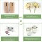 Besuerte Mason Jar Wall Sconces Set of Two, Wall Deco Cute Wall Decor with LED Fairy Lights, Art for Living Room Modern Decorations, House Decor, Rustic Brown